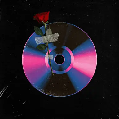 Vinyl 12"